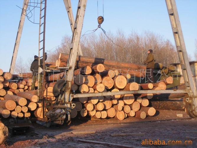 俄罗斯林场诚寻木材采伐销售合作伙伴