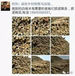 找原木,找板材,在这里,2017年4月4日 ,精品木材销售信息,履约思源,不忘初心 