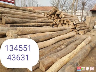 大量销售批发一级精品老榆木 优质建筑材料的选择