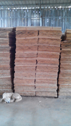 南宁桉木材料价格及七塘木片加工厂简介