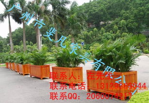 供应广场花箱装饰花箱防腐花箱花箱实木花箱铁质花箱批发–供应广场花箱装饰花箱防腐花箱花箱实木花箱铁质花箱厂家–供应广场花箱装饰花箱防腐花箱花箱实木花箱铁质花箱供应商