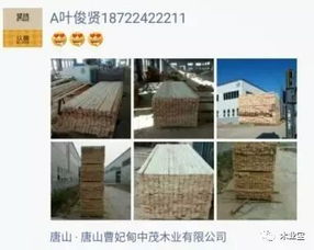 找原木,找板材,在这里,2017年9月19日 ,精品木材 销售信息,履约思源,不忘初心